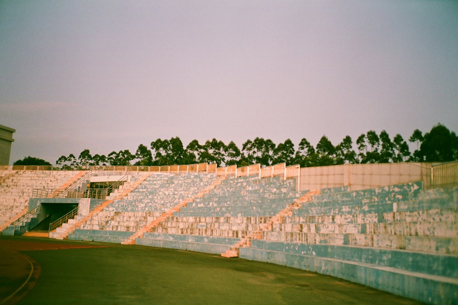An empty terrace of seats with trees behind it